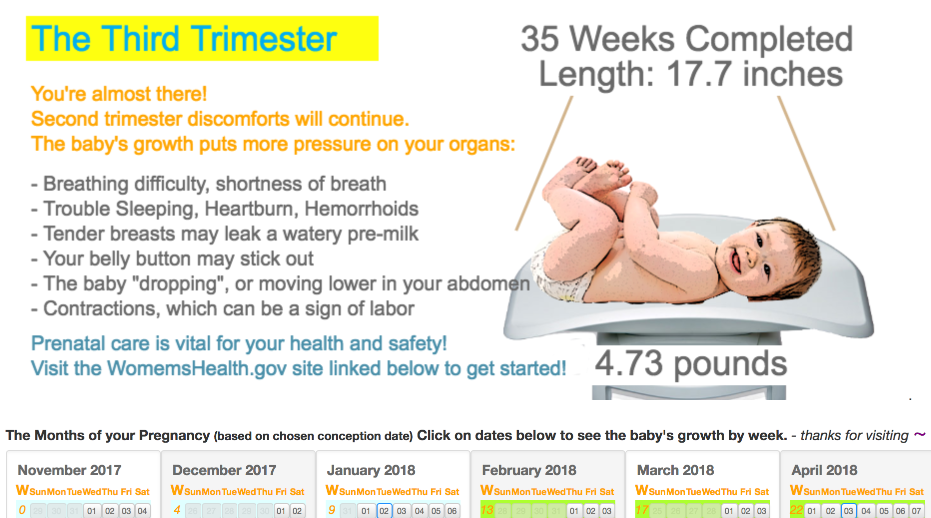pregnancytimer.com pregnancy calendar tool