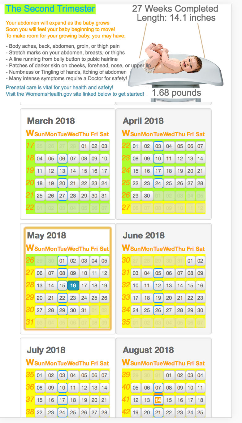 mobile preview pregnancy calendar
